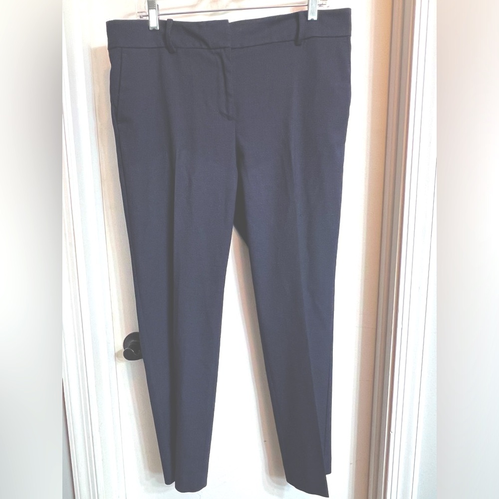 Ann Taylor Dress Pants